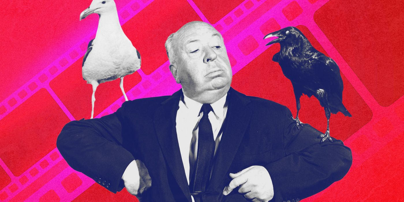 ‘The Birds’ a présenté un camée ludique, et non, ce n’est pas Alfred Hitchcock