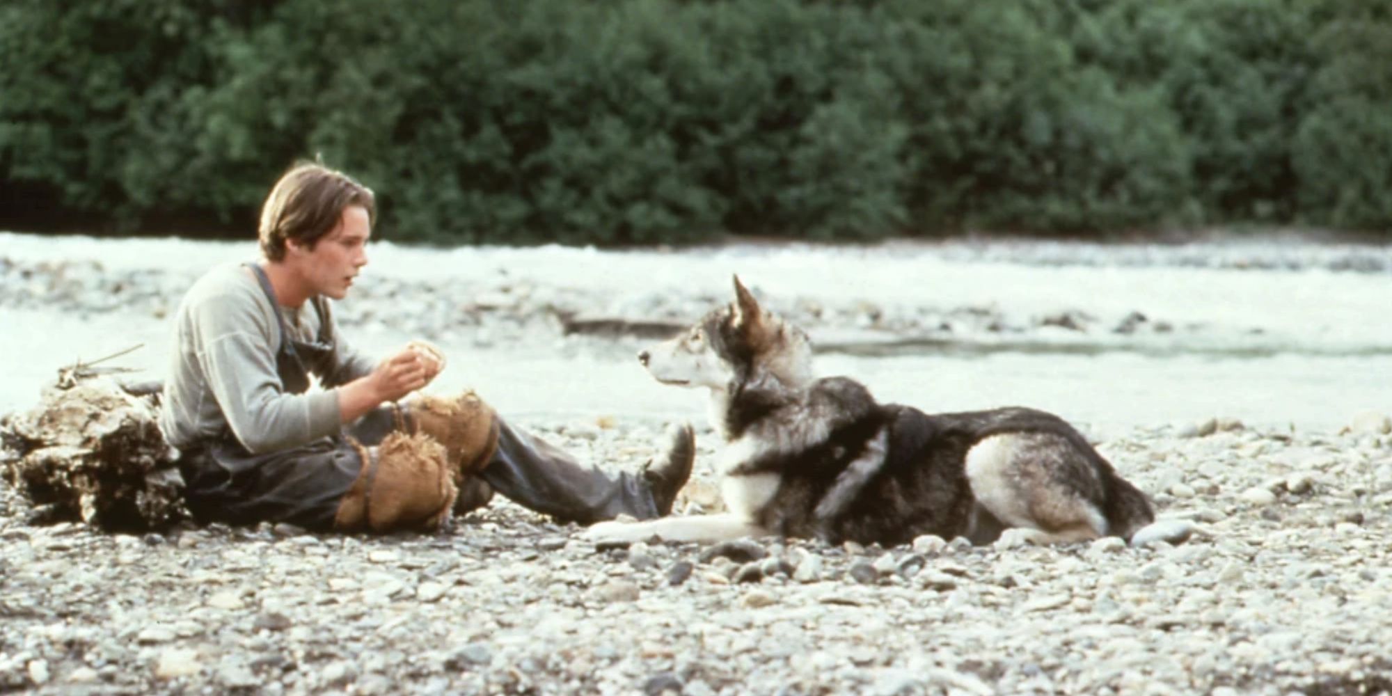 A young boy talking to a dog in White Fang