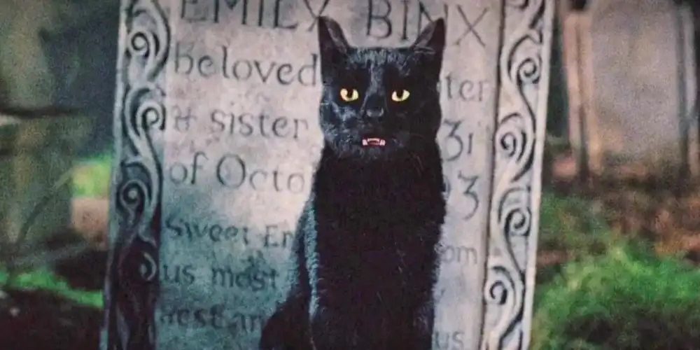 Thackery Binx by the gravestone of his sister, Emily