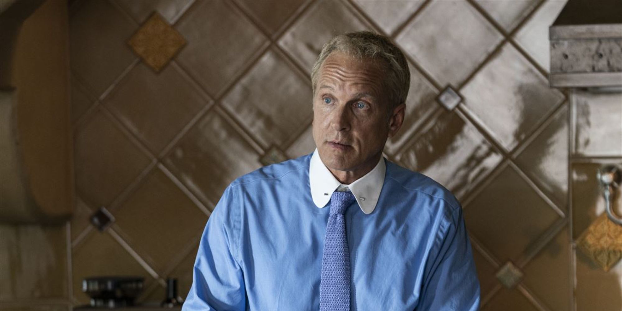 Patrick Fabian como Howard Hamlin en 