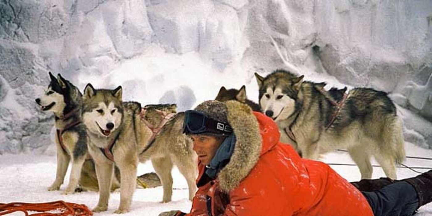 Paul Walker shown with dogs