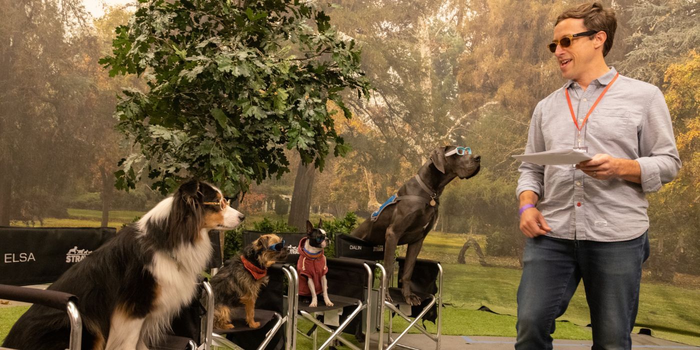 ‘Strays’ Director Filmed 95% of the Movie With Real Dogs, Not CGI