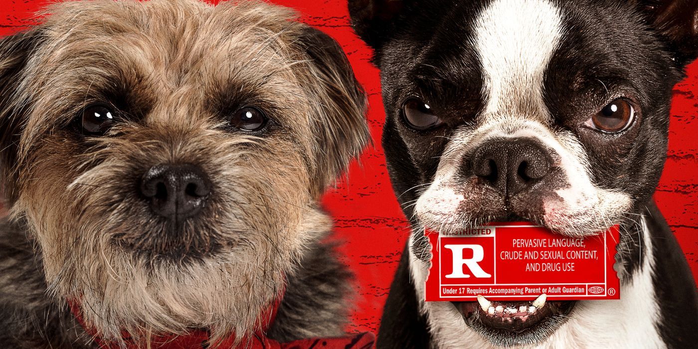 Reggie (Will Ferrell) and Bugs (Jamie Foxx) on the poster for Strays