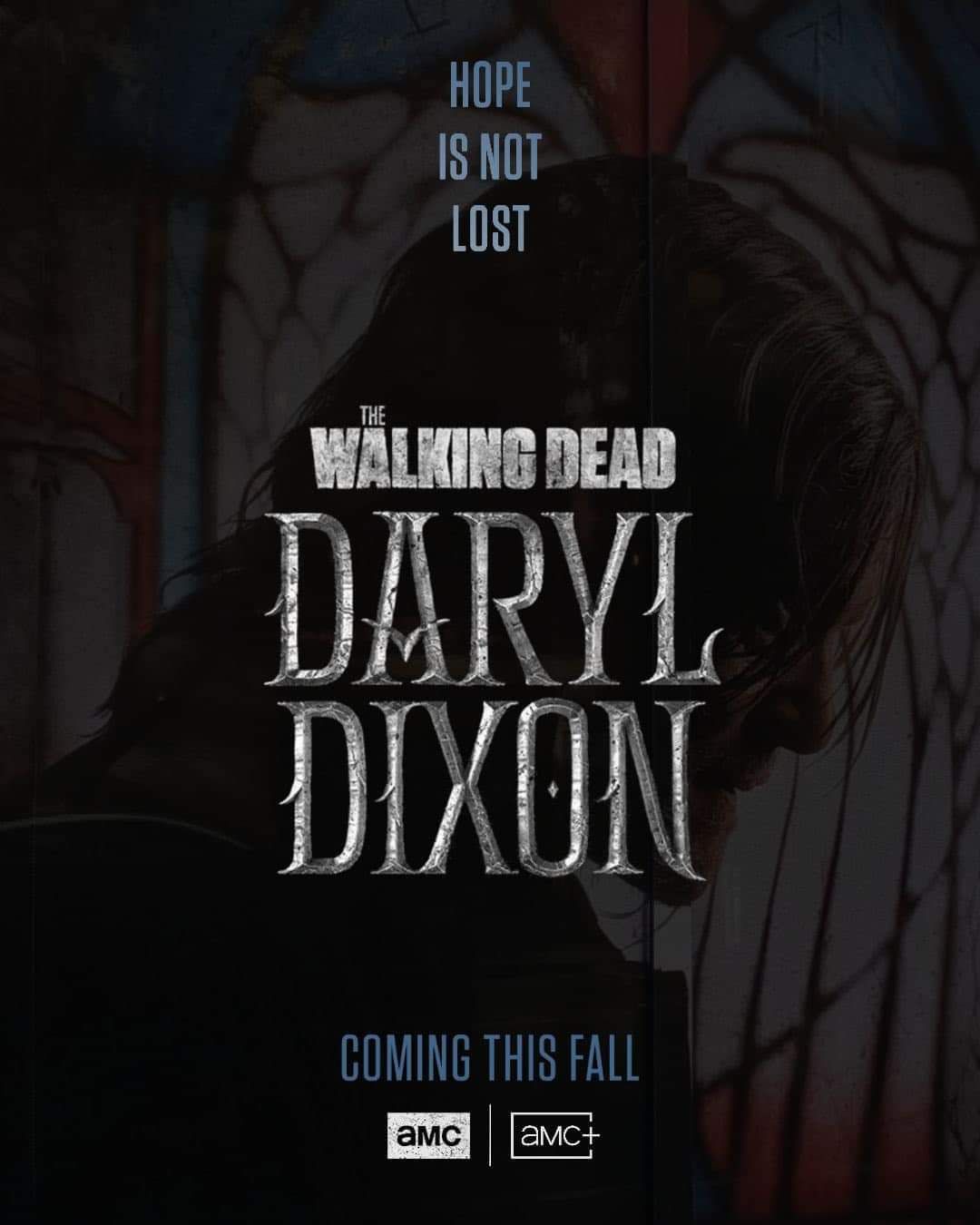 The Walking Dead Daryl Dixon Poster