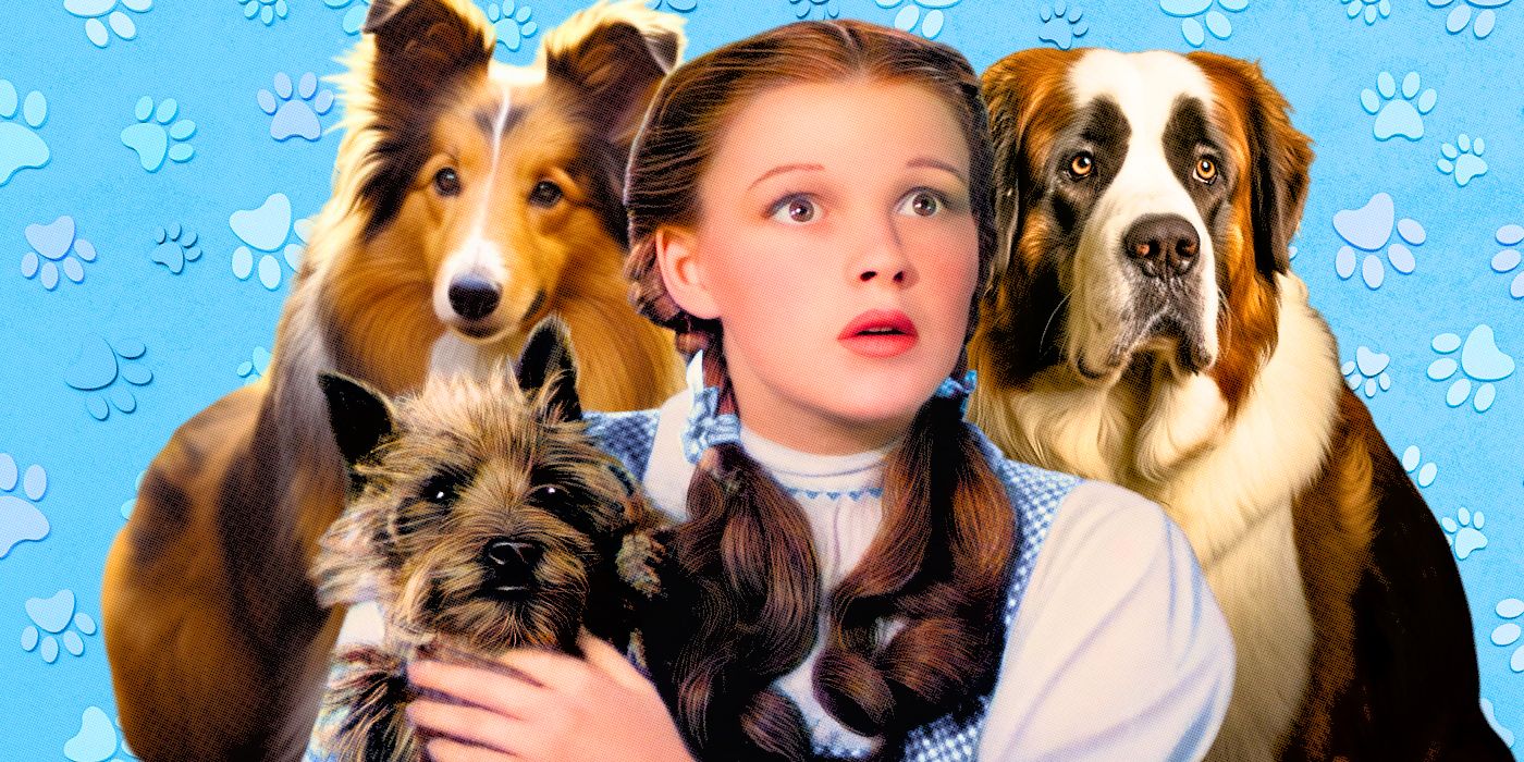 the-wizard-of-oz-judy-garland-lassie-beethoven-toto