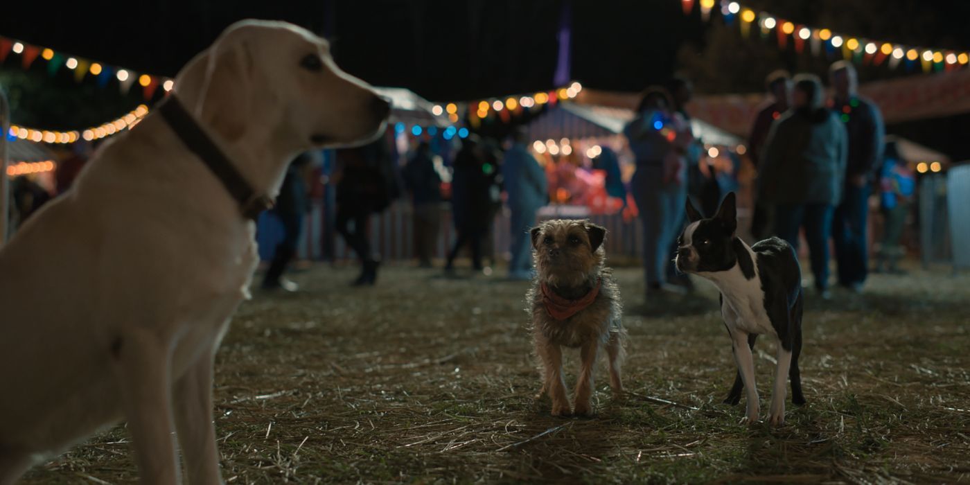 Reggie (Will Ferrell) and Bug (Jamie Foxx) next to a yellow lab (Josh Gad) in Strays