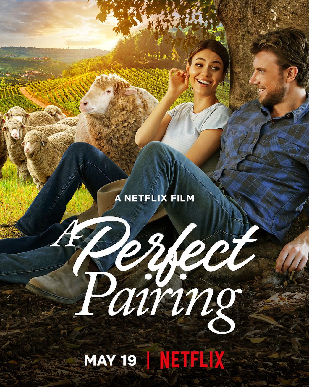 A Perfect Pairing Netflix Poster