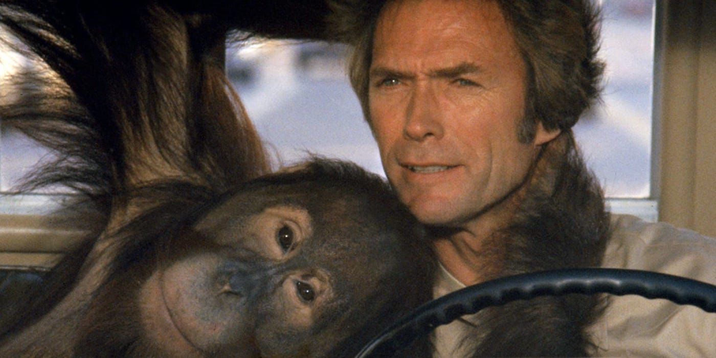 Clint Eastwood driving with his pet orangutan next to him in Every Which Way But Loose