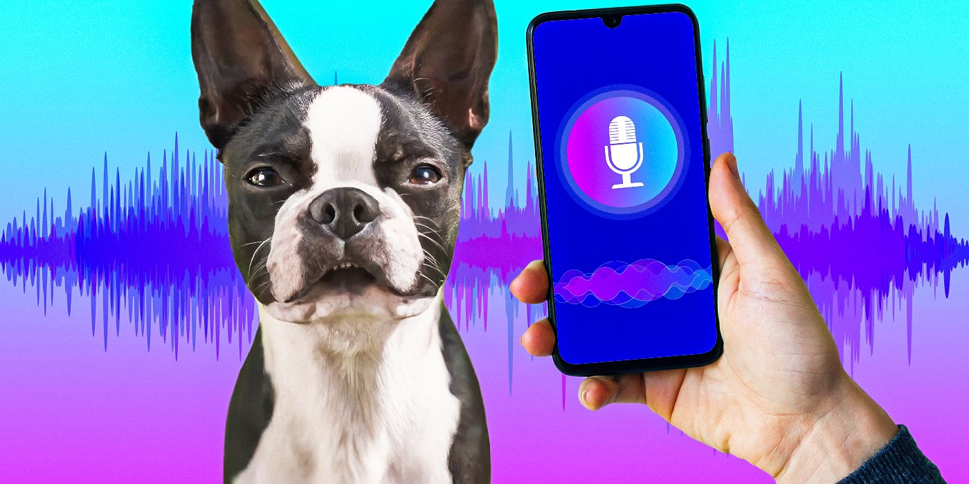 ‘Strays’ Director Found the Voices for the Dogs By Using a « Cheap App »