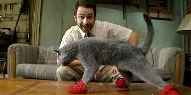 Still from 'It's Always Sunny in Philadelphia': Charlie grins as a cat walks past him wearing red mittens.