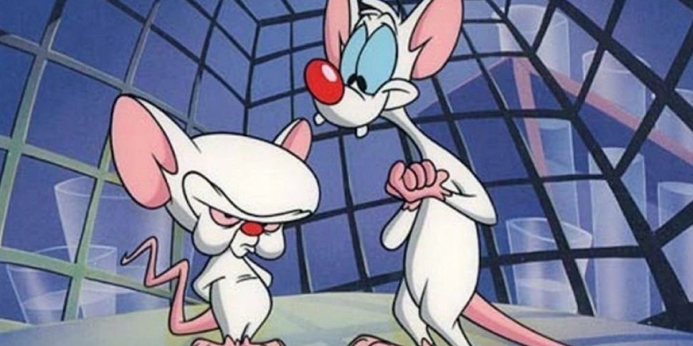 Pinky and the Brain from 'Animaniacs'