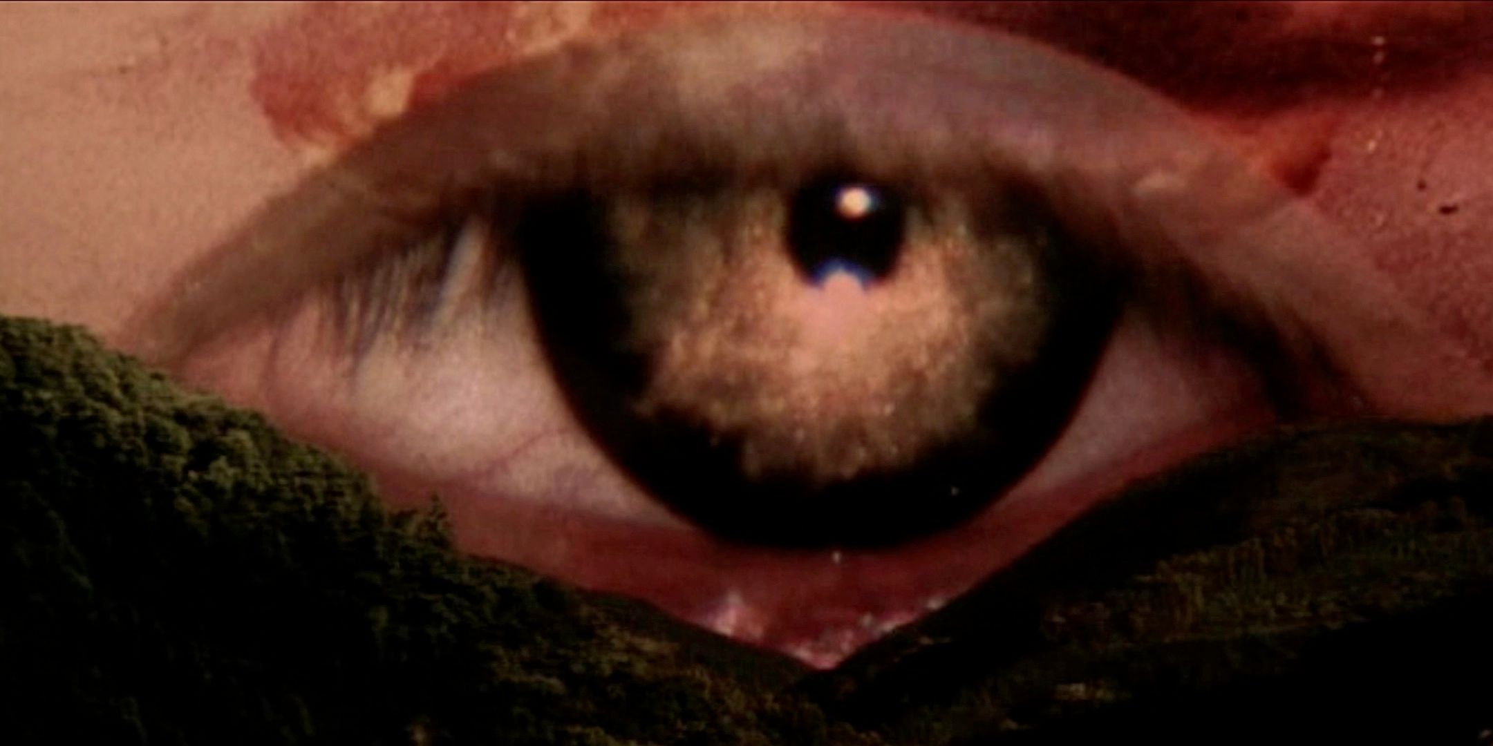 Surrealist imagery from Akira Kurosawa's 'Rhapsody In August' (1991)