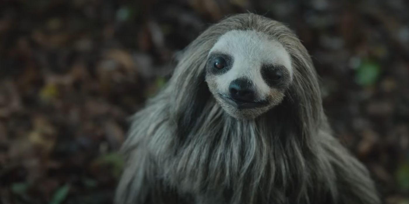 A sloth smirking in Slotherhouse