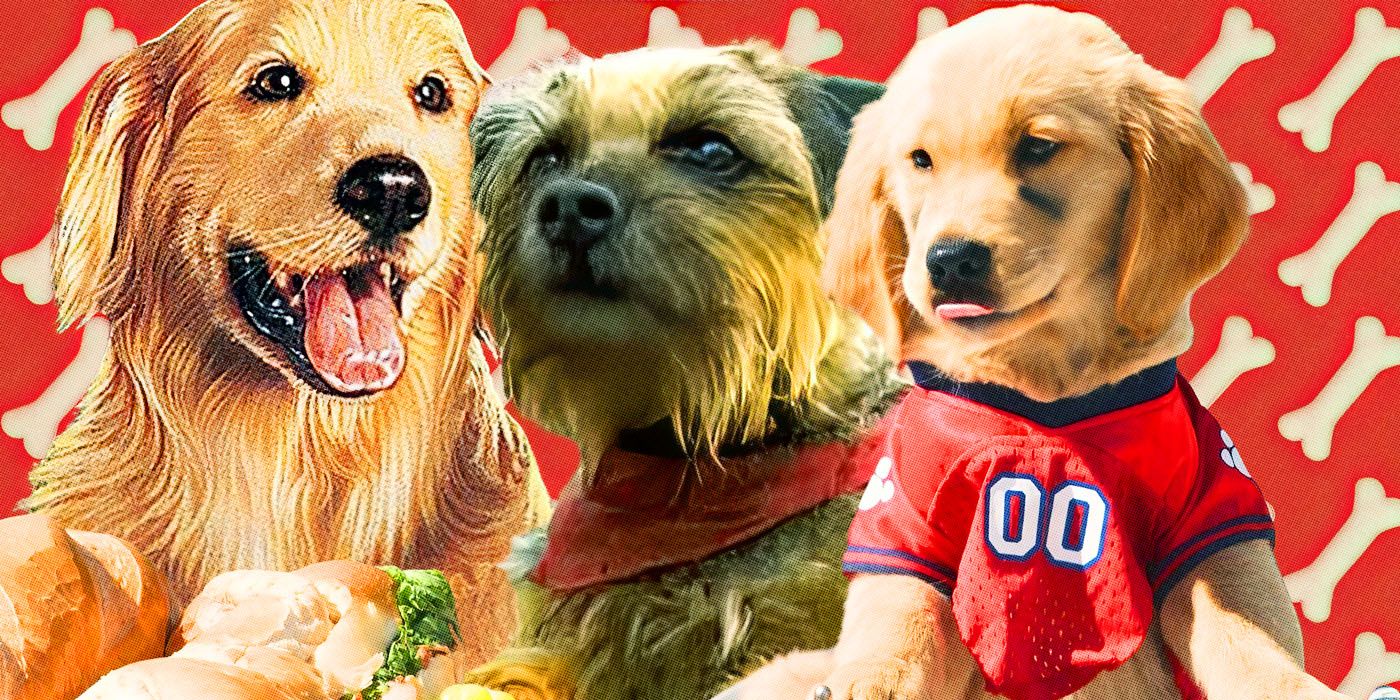Sorry ‘Strays,’ This Is the Best Film With Talking Dogs