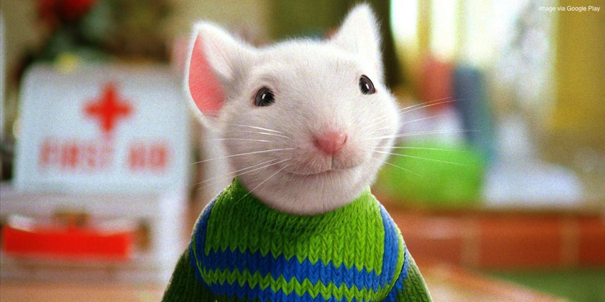 10 Best Talking Animals in Live-Action Movies, Ranked