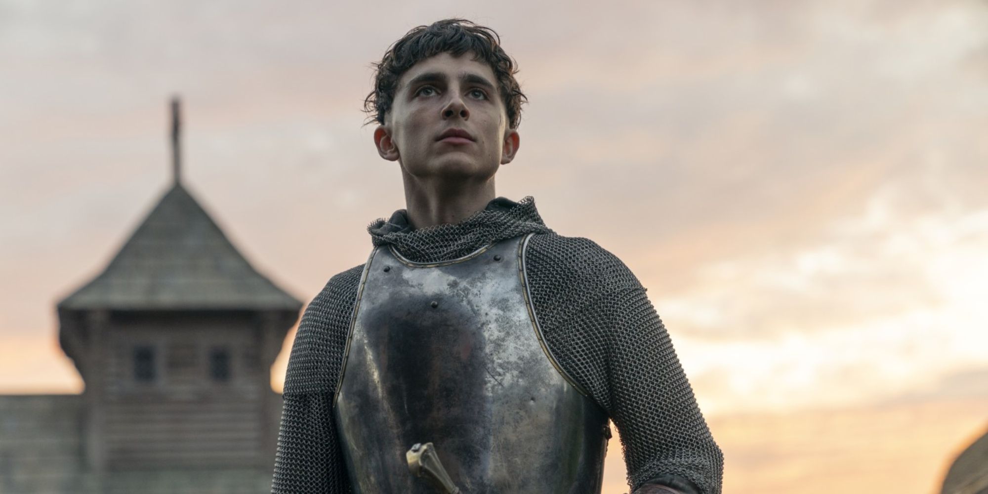 King Arthur, played by Timothee Chalamet in The King