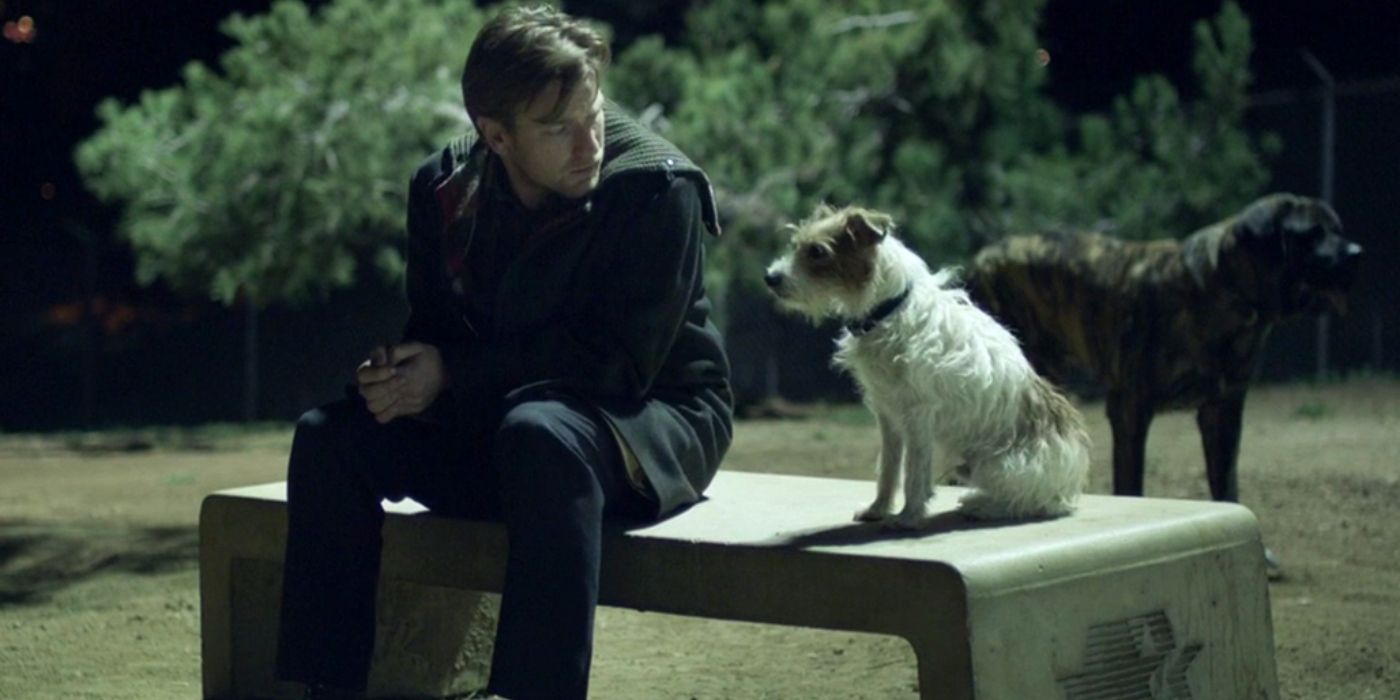 Ewan McGregor em 'Beginners', com Arthur (Cosmo) o cachorro. 