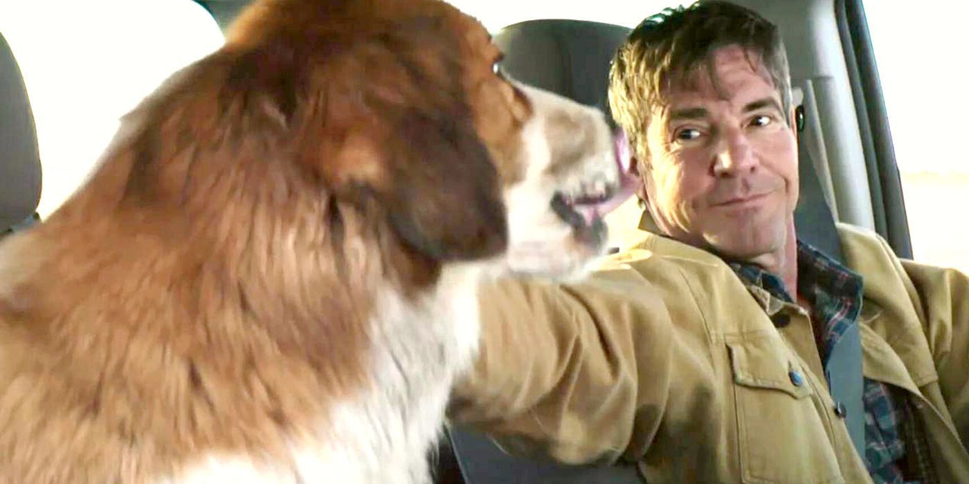 Dennis Quaid driving a car with a dog sitting next to him in A Dog's Journey (2019)