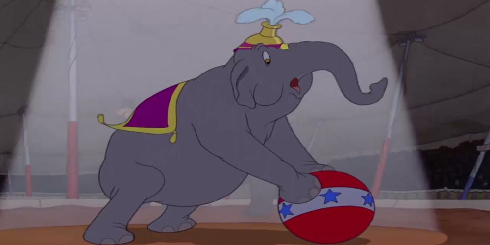 The Elephant Matriarch attempts to balance on-top of a ball