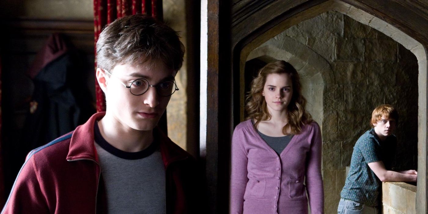 Harry Ron y Hermione en 