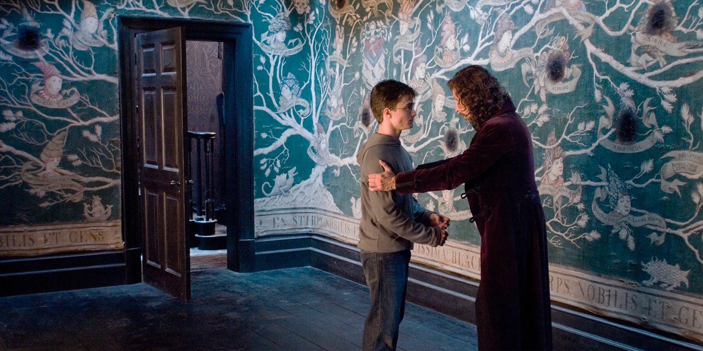 Daniel Radcliffe and Gary Oldman as Harry and Sirius talking in a room with a genealogical tree on the wall in Harry Potter and the Order of the Phoenix