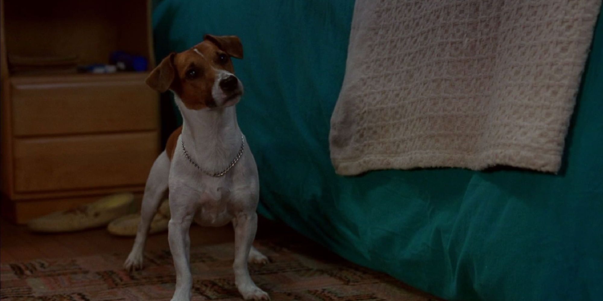 Milo the Dog in 'The Mask'