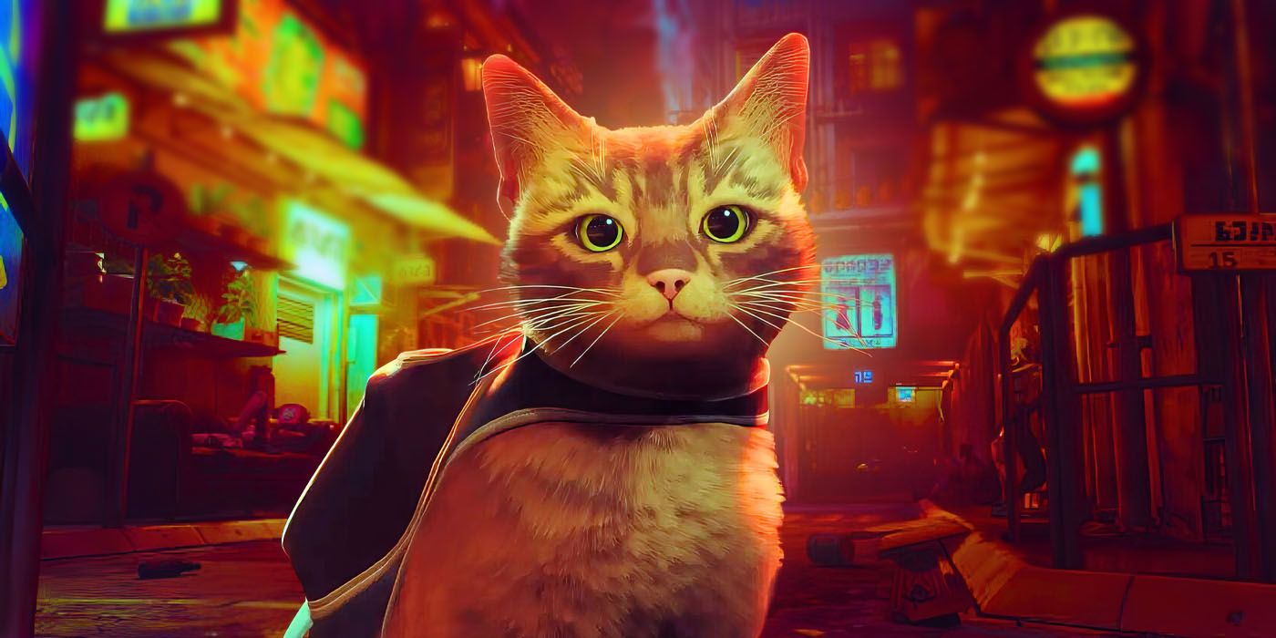 Adorable Cat Game Stray Is Getting A Movie Adaptation