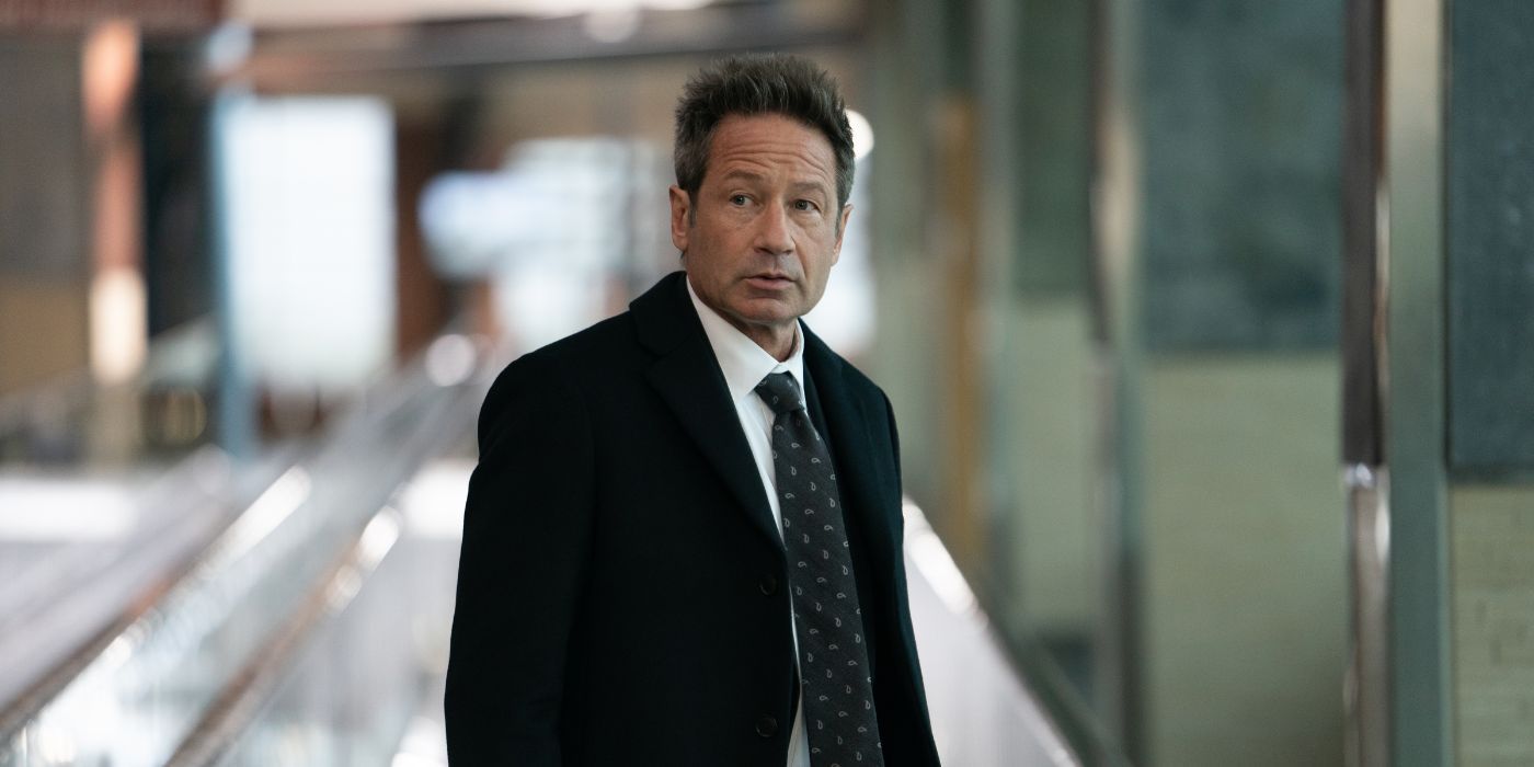 David Duchovny as Bill in What Happens Later 