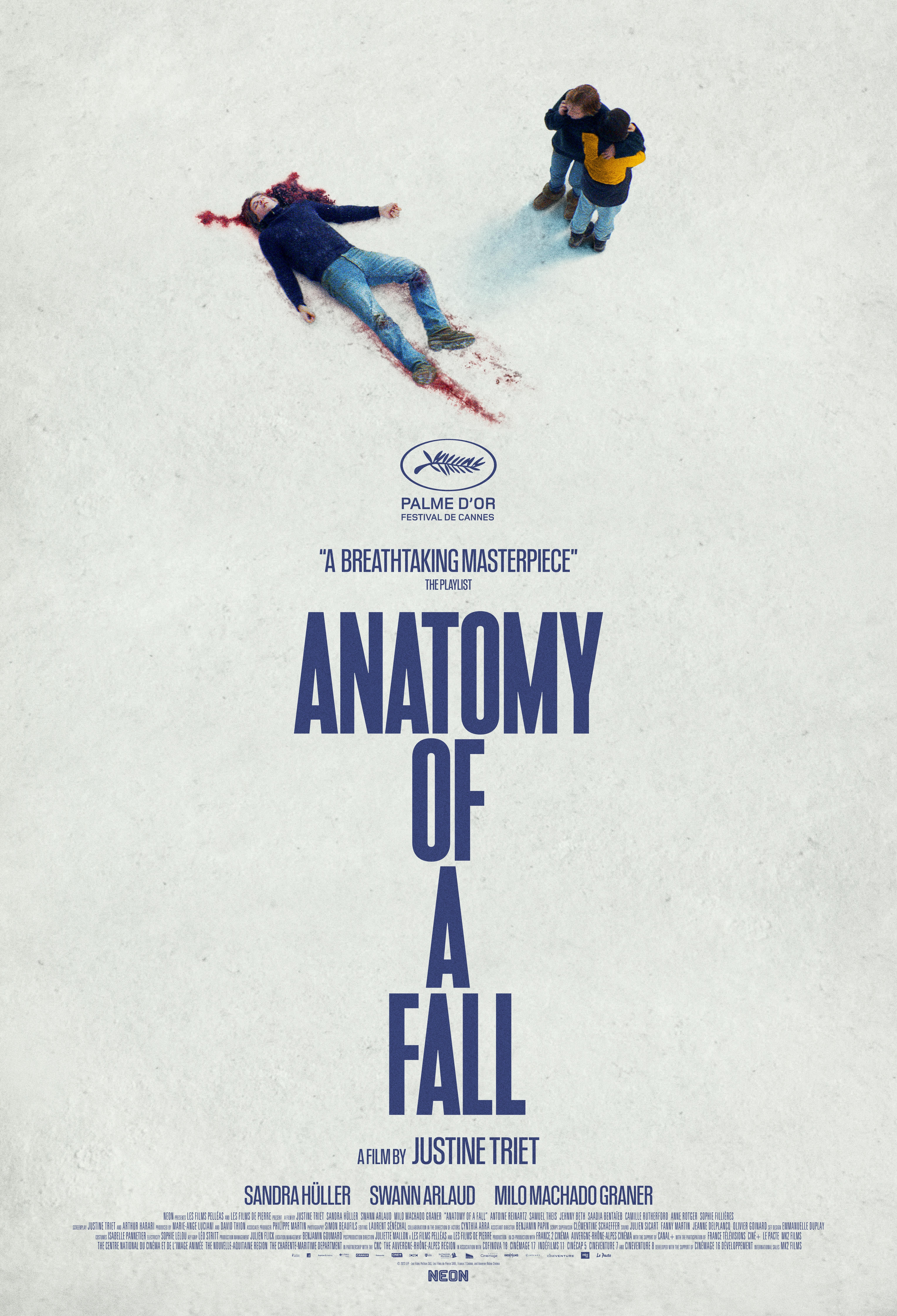 Anatomy of a Fall Film Poster