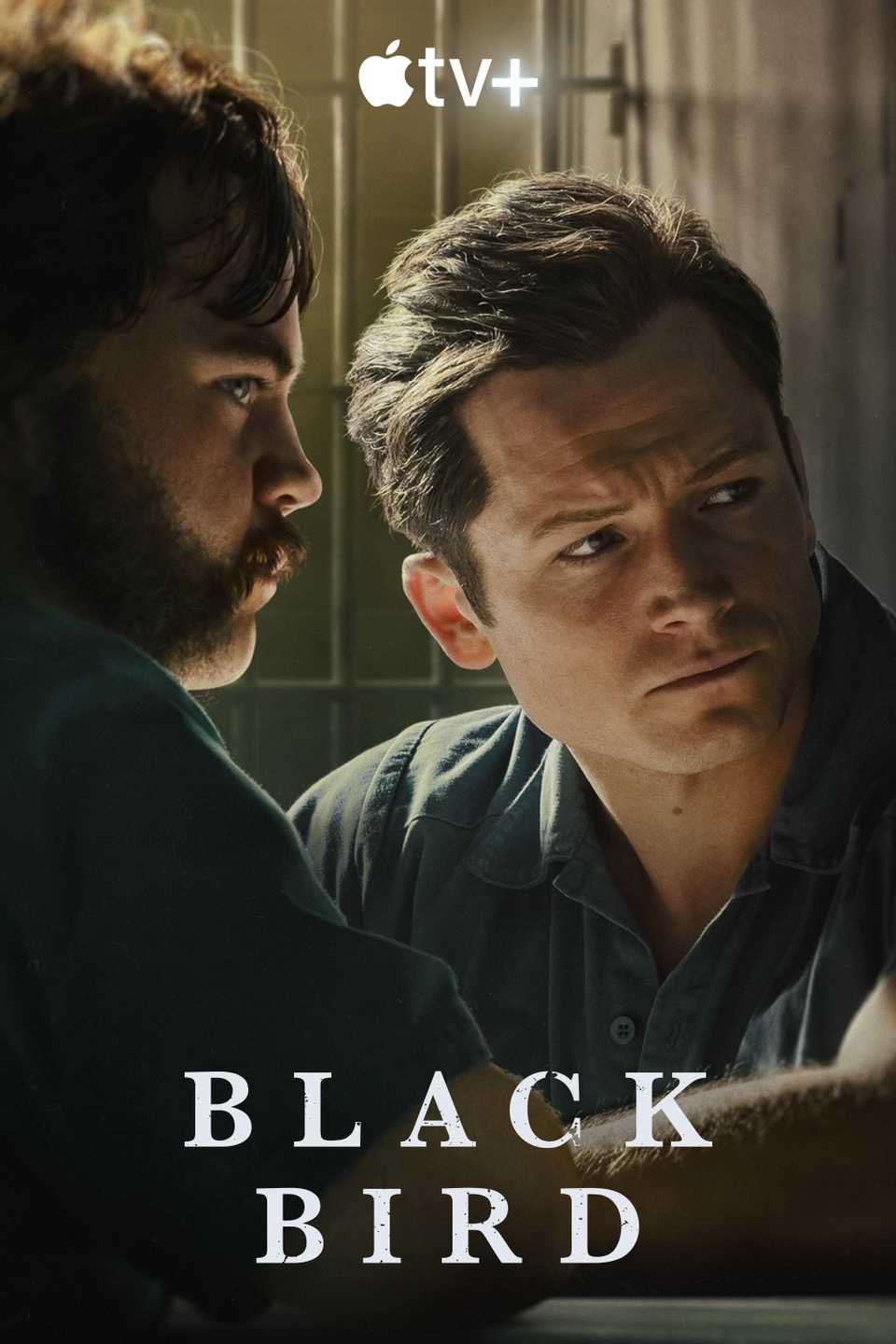 'Black Bird' (2022) 'Black Bird' (2022)
