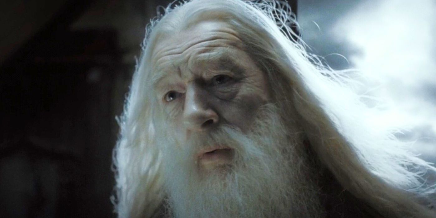 Michael Gambon as Albus Dumbledore in Harry Potter series