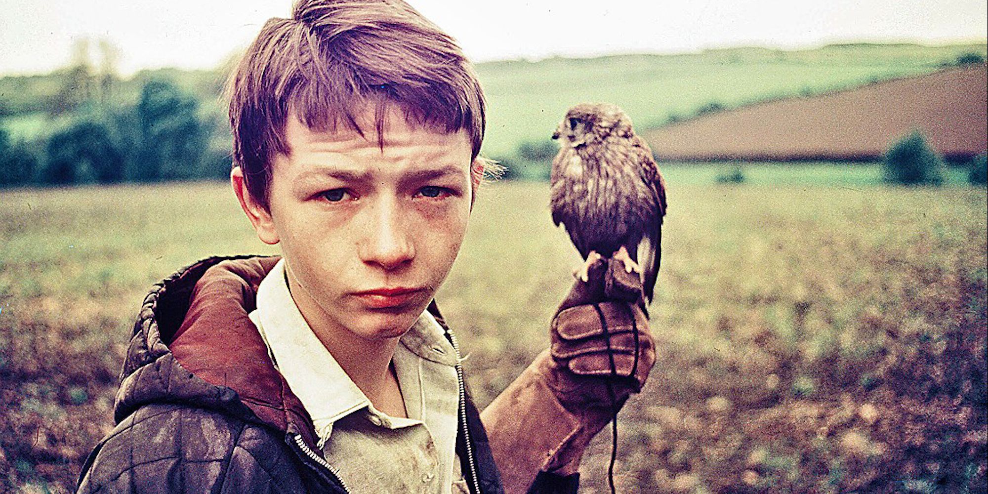 kes 1969 jeune garçon et oiseau