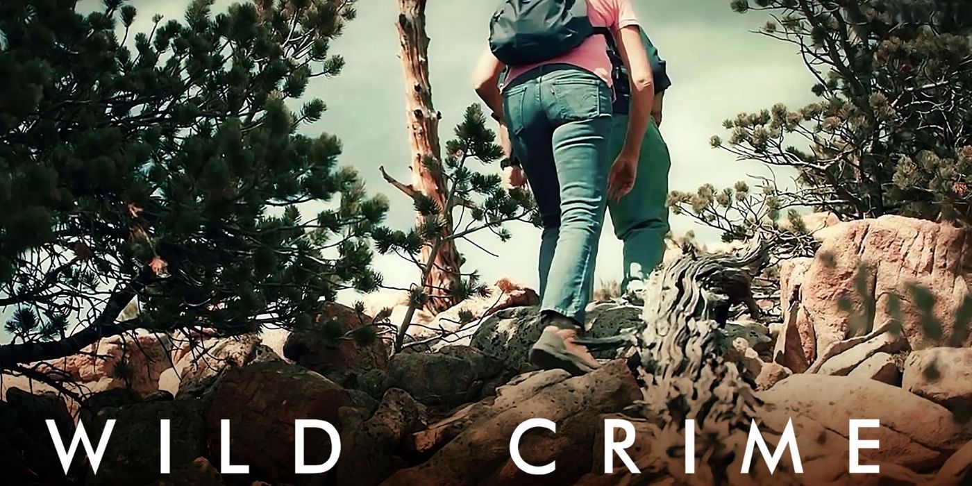 The Top 7 Exciting Hulu Shows to Watch in November 2023