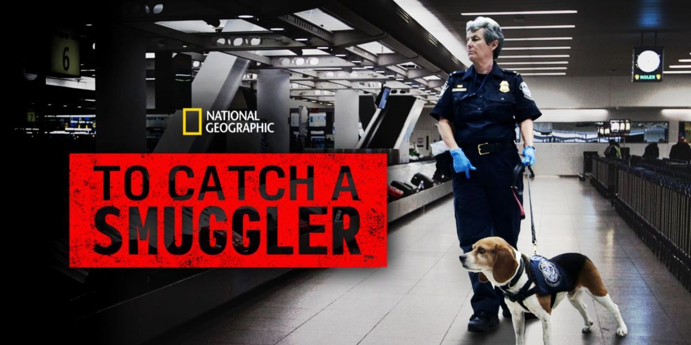 The Top 7 Exciting Hulu Shows to Watch in November 2023