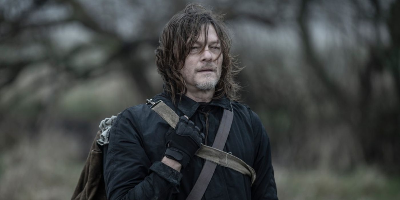 Norman Reedus as Daryl Dixon on The Walking Dead