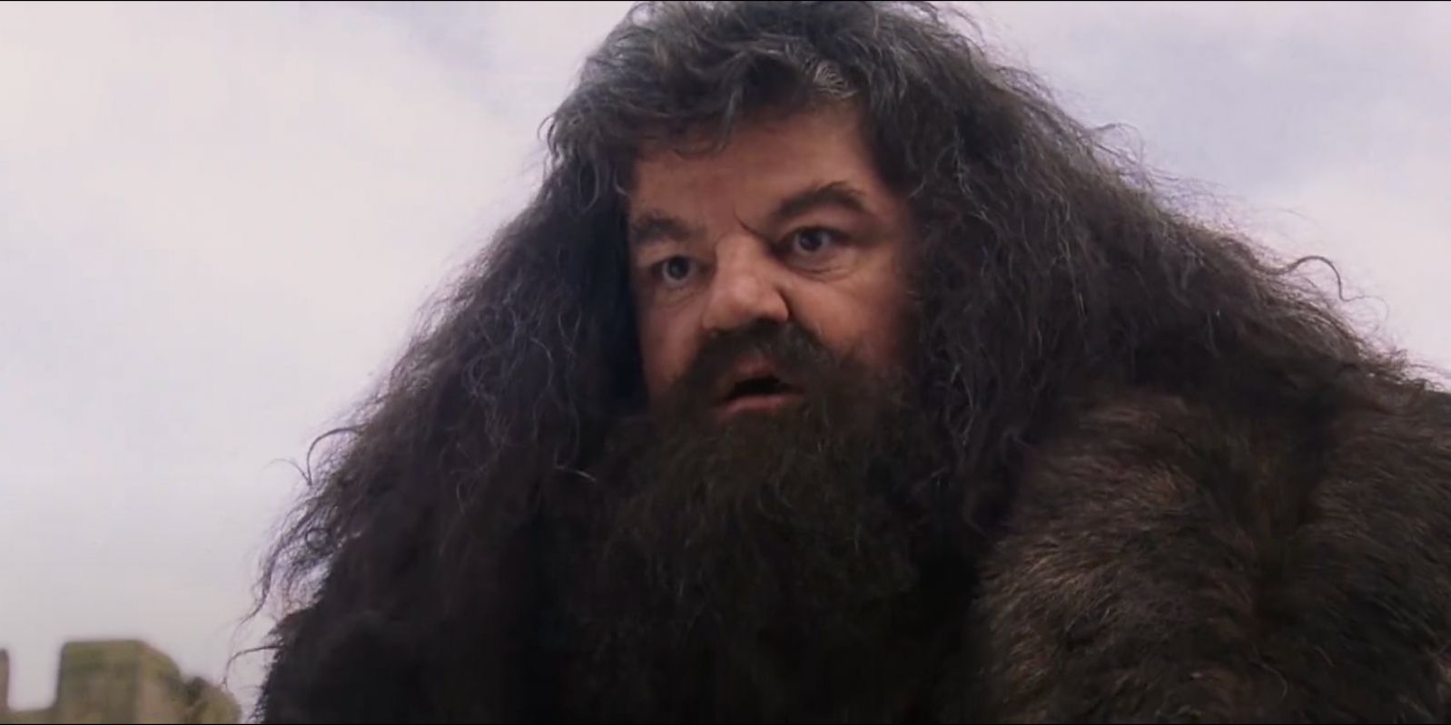 Rubeus Hagrid looks shocked as he looks down in Harry Potter and the Sorcerer's Stone
