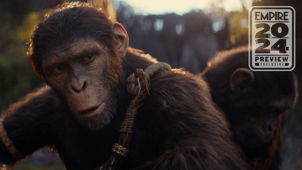 An ape named Noa in Kingdom of the Planet of the Apes