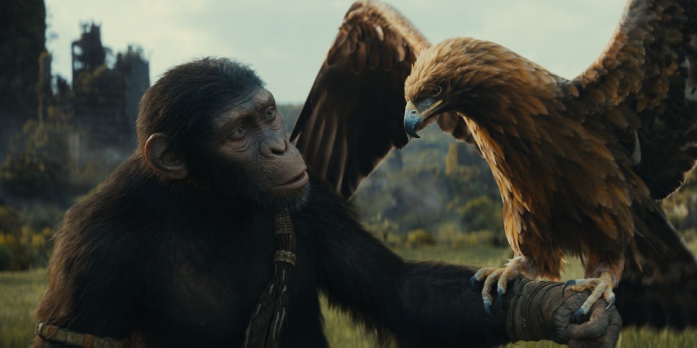 An ape holding a hawk in Kingdom of the Planet of the Apes