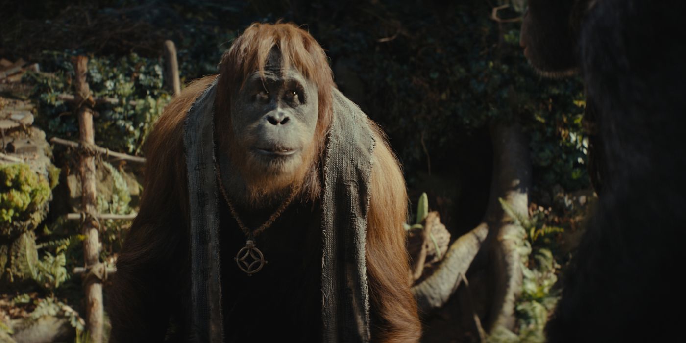 An orangutan looking concerned in Kingdom of the Planet of the Apes