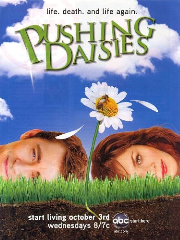 pushing daisies poster