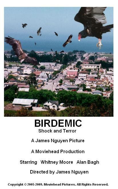 Birdemic Shock and Terror Film Poster