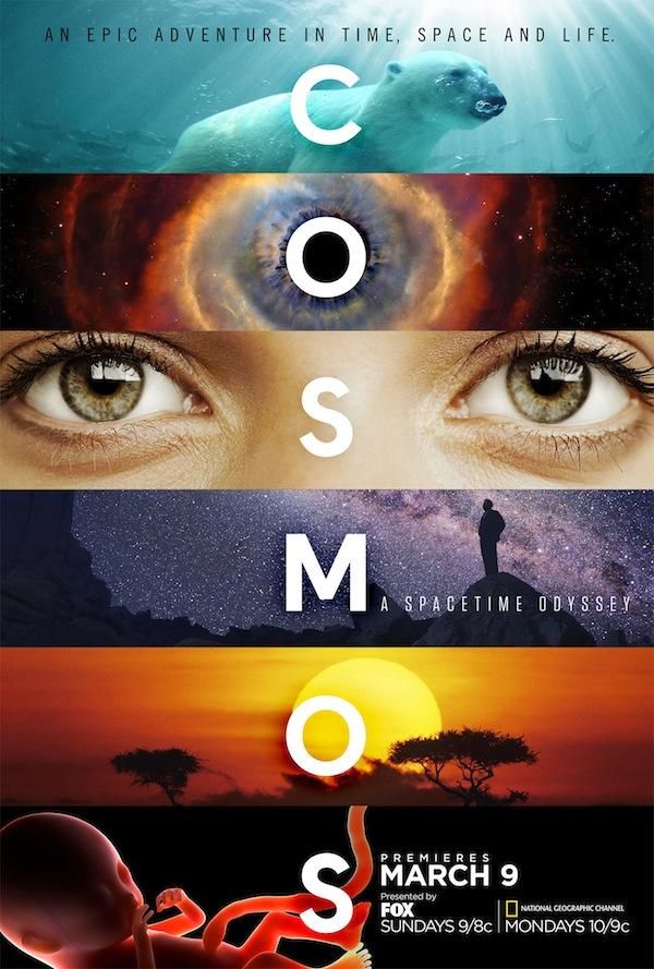 Cosmos A Spacetime Odyssey TV Show Poster