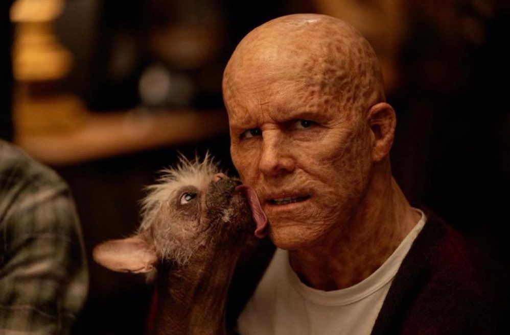 Ryan Reynolds as Deadpool getting his face licked by Dogpool in Deadpool 3
