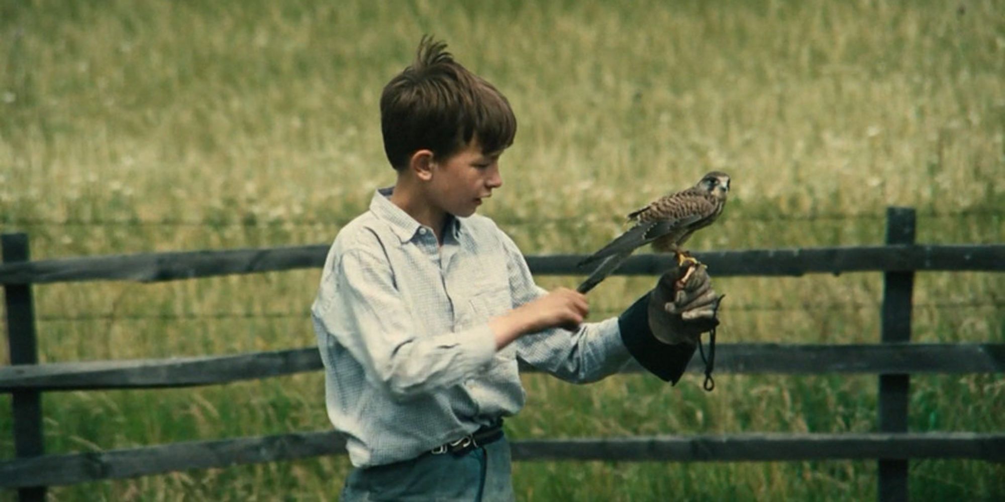 David Bradley as Billy holding a falcon in Kes