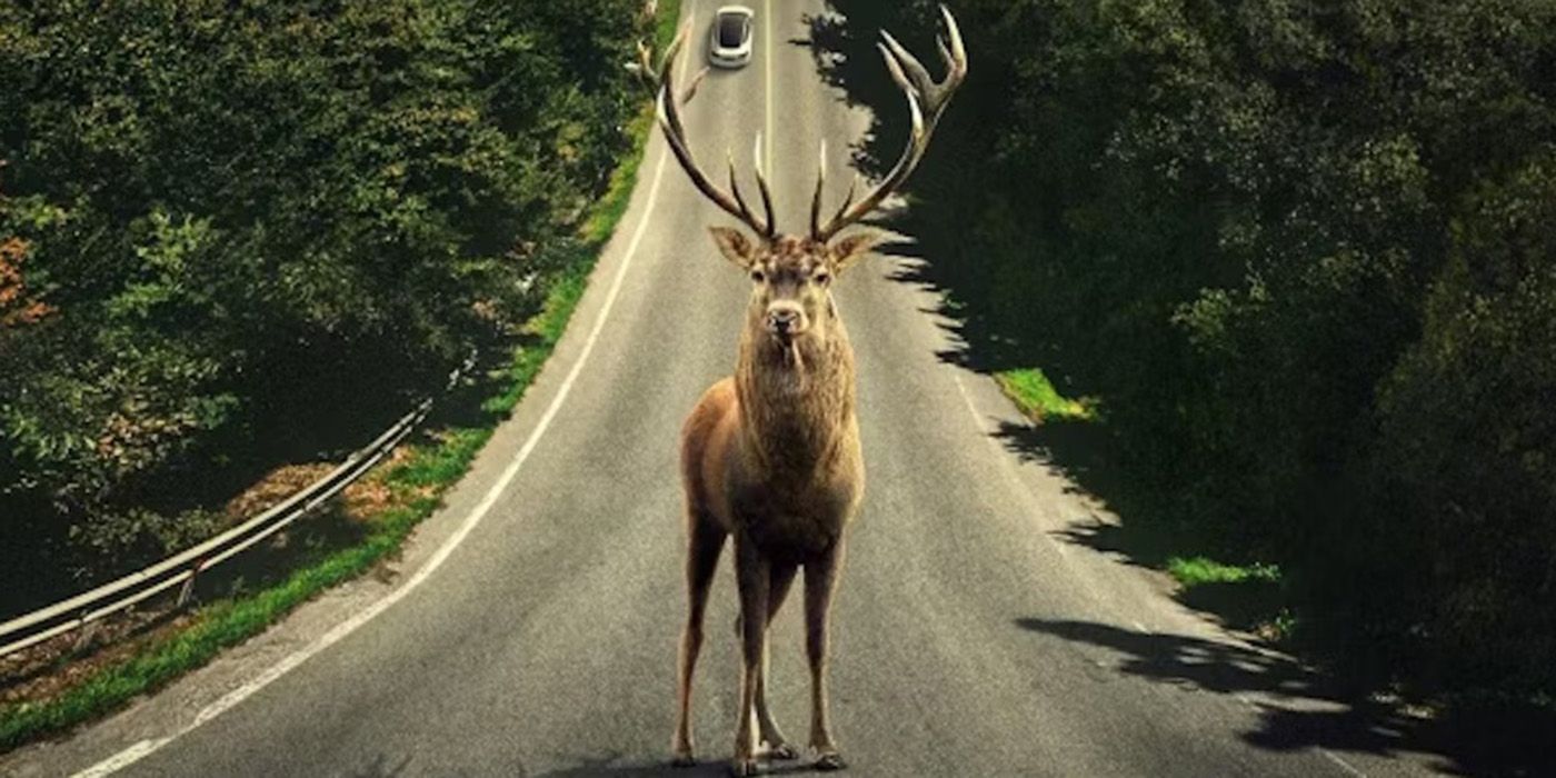 a heavily antlered deer standing in the street in a poster for Leave the World Behind