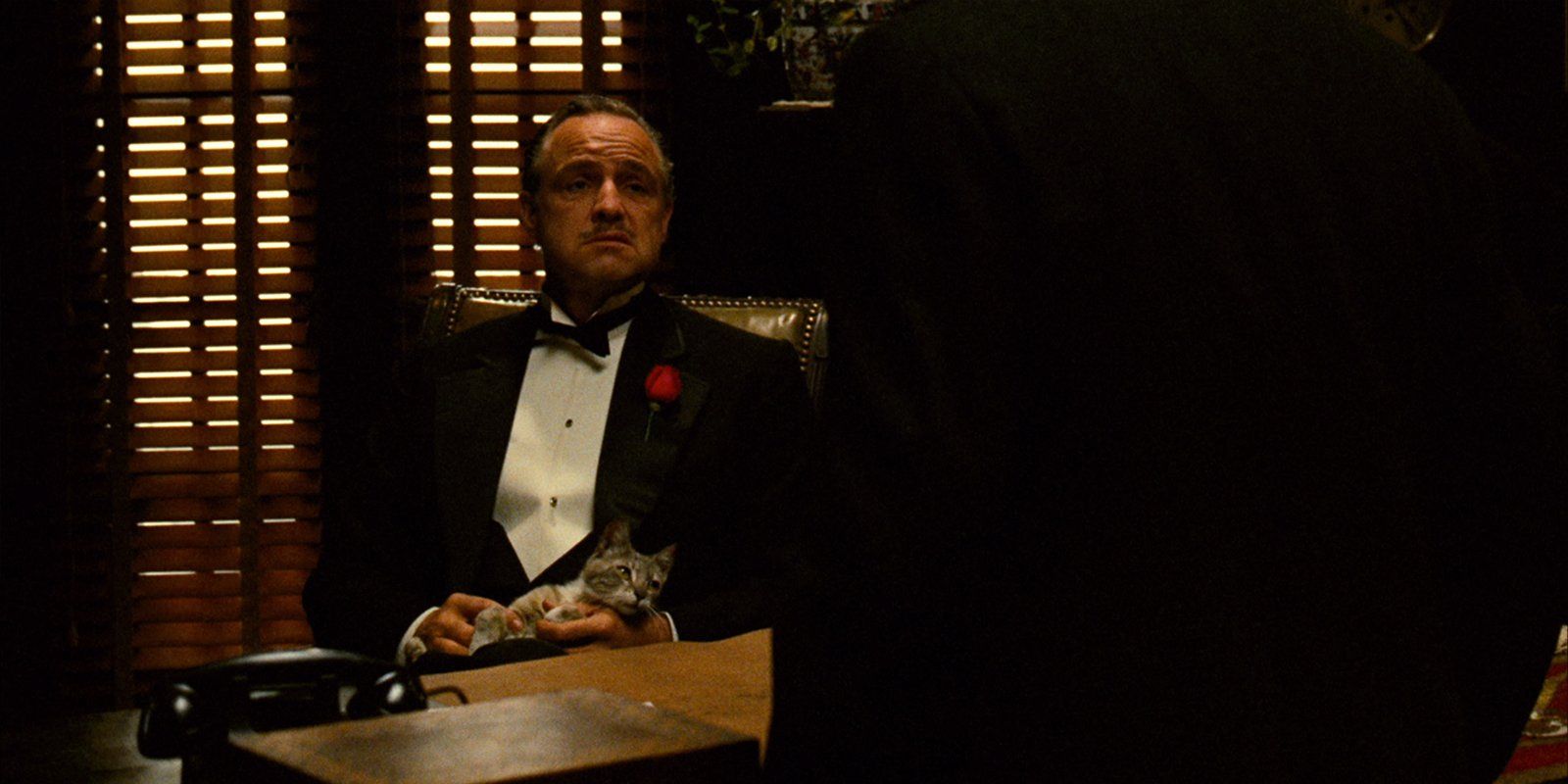 Marlon Brando as Vito Corleone sitting at his desk speaking to a guest with a very happy cat in his lap in The Godfather's opening scene