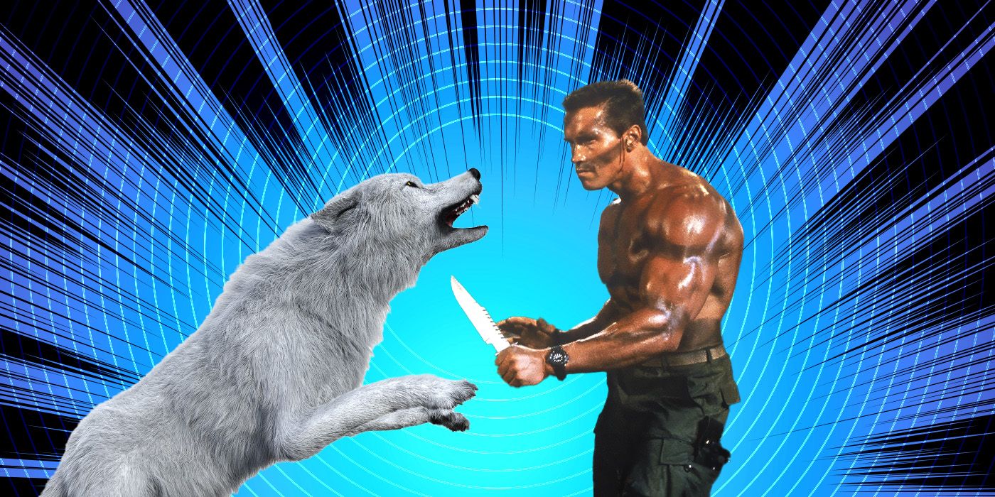 Arnold sendo atacado por um lobo. Imagem em destaque