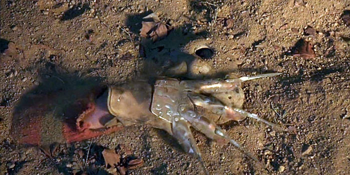 Ator que interpretou Jason Voorhees também deu vida a outros vilões icônicos do terror 1 Cena de Jason Vai Para o Inferno: A Última Sexta-Feira (Reprodução)