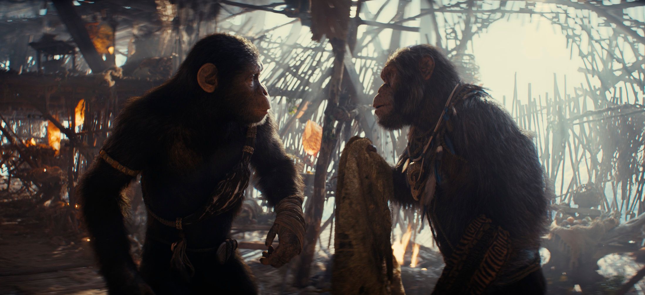 'Kingdom of the Planet of the Apes' Image – Noa Prepares for the Future