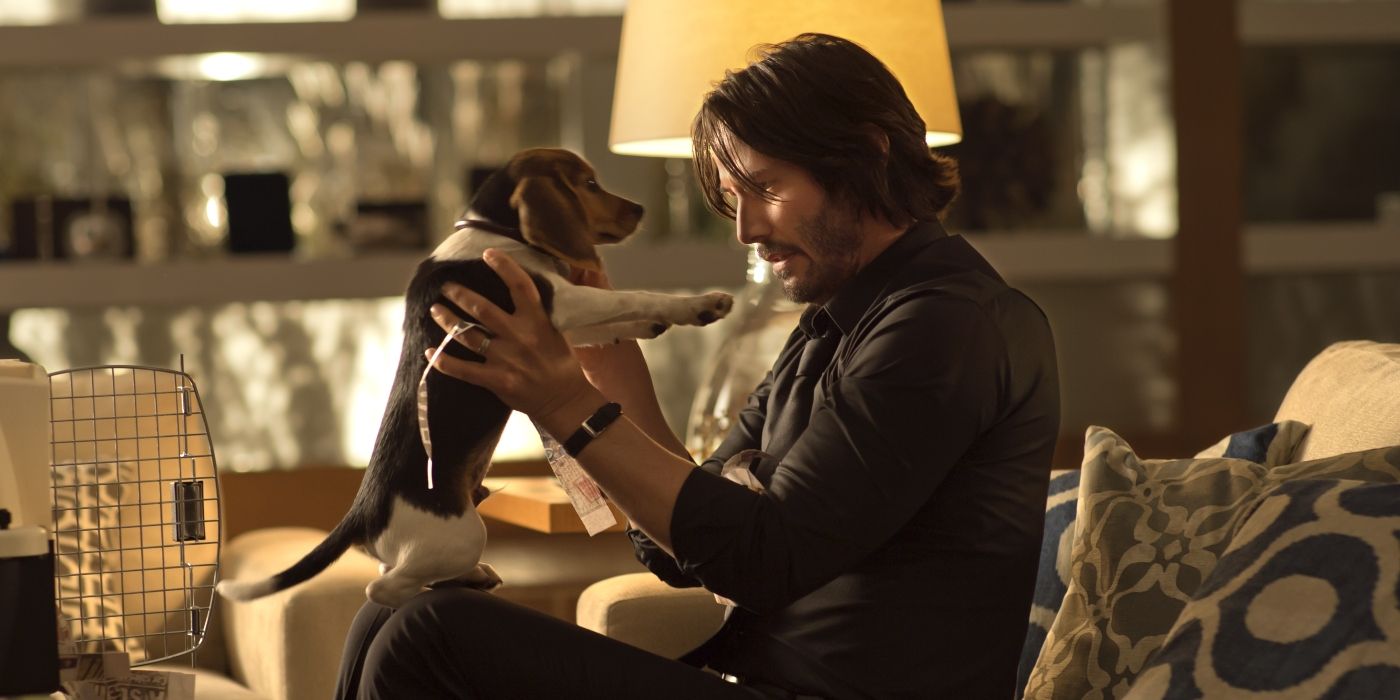 John Wick carrying his puppy in the film John Wick